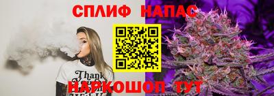 mdma Камышлов