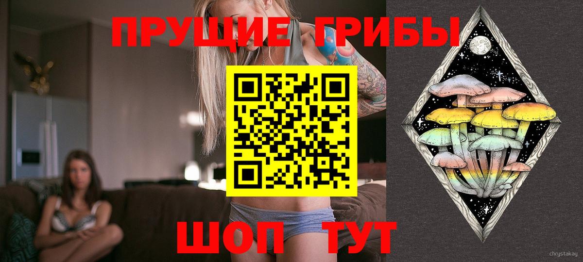 Галлюциногенные грибы Magic Shrooms  Вход с VPN  даркнет сайт  Кубинка 