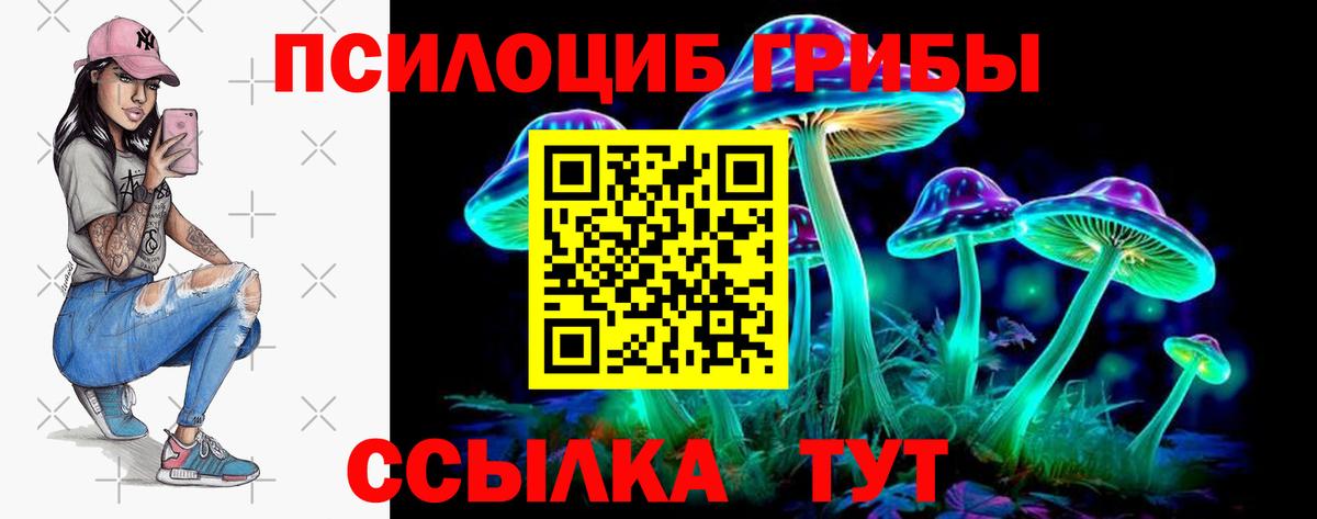 Галлюциногенные грибы Cubensis Кубинка